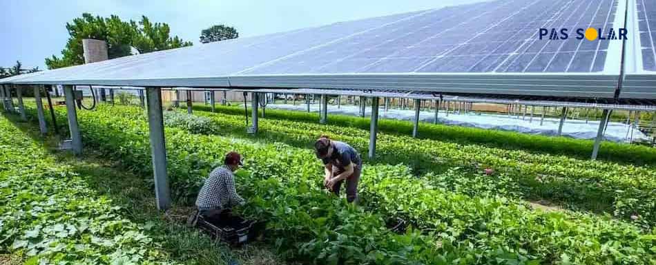 Large-scale-solar-farms